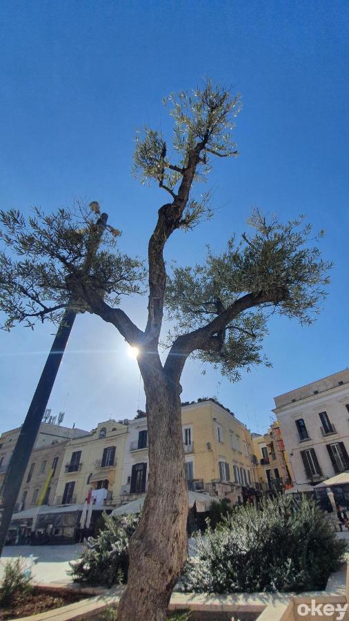 Dimora Donna Vittoria - Bari Vecchia Διαμέρισμα Εξωτερικό φωτογραφία